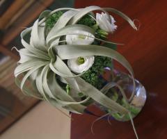 Fiorideapontirolo - Addobbi flooreali con le tillandsia