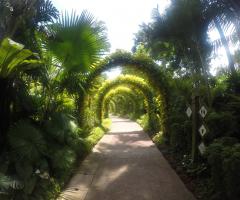 Costanza Demaldè CartOrange - Singapore