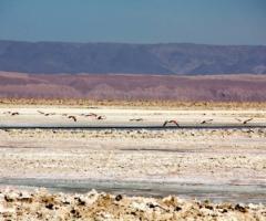 Viaggio di nozze in Cile - Foto scattata durante un nostro tour