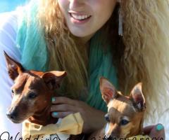 Me e amorini - Wedding dogsittervarese