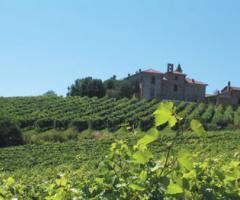 Torre Fornello vista dai vitigni