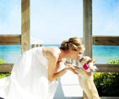 Pet Sister - Un bacio alla psosa