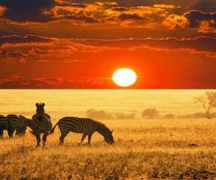 I viaggi di Vale - Emozioni forti per un'esperienza in Sudafrica