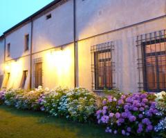 Fiori colorati come sfondo al matrimonio