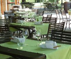 Matrimonio sotto il pergolato di uva