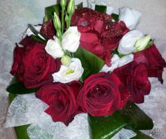 Rose rosse