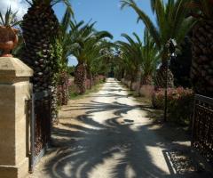 Viale d'ingresso del residence