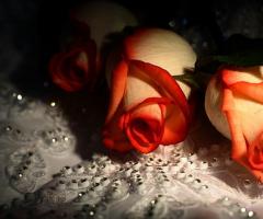 Dettagli creativi - Sedicieventi di Valeria Zanardi