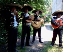 Magic Games Store - iMariachi musica per matrimoni