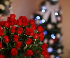 Il Sogno - Eventi e Weddings