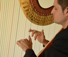 Andrea Bonaldo suona l'arpa durante un matrimonio