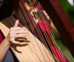 Arpa celtica - Eleonora Pellegrini