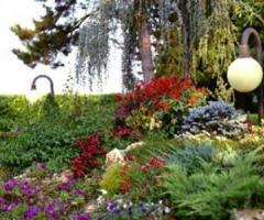 Fiori della location di matrimonio