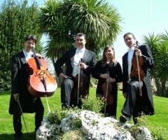 Intrattenimento musicale per le nozze