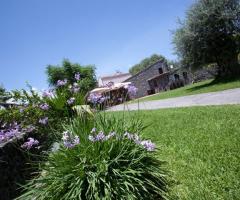 Giardino per ricevimento di matrimonio presso l'agriturismo Il Sole e il Sale