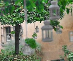 Alberi decorati con romantiche lanterne per un matrimonio speciale