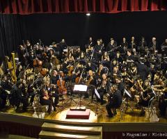 solida esperienza concertistica