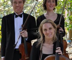 Sara Picasso Musica - Violinisti matrimonio