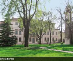 Giardino alberato della villa per il matrimonio