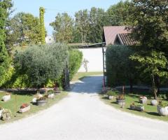 Viale d'ingresso al castello - CastelCosa a Pordenone
