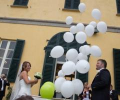 Le Feste di Mirtillo - Baule di palloncini e wedding planner