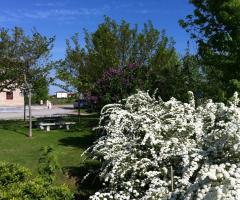 Il giardino dell'agriturismo