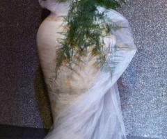 composizione con mele