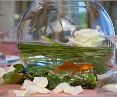 Sos Matrimonio - Centrotavola per matrimoni