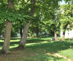 Ricevimento di matrimonio in giardino