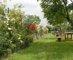 Giardino dell'agriturismo