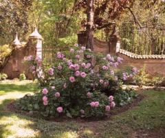 Ricevimento di matrimonio in giardino