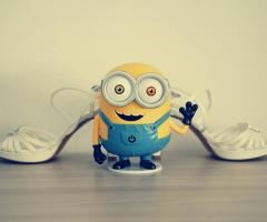 Queen Photo - Divertimento per i preparativi