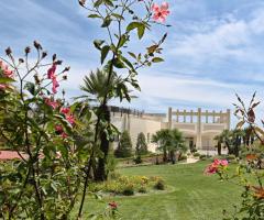 Imperatore di Puglia - Il verde