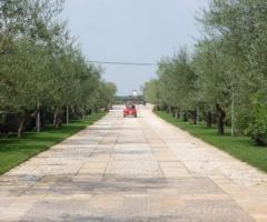 Ingresso alla location di nozze a Casamassima (Bari)