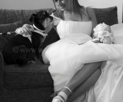 La sposa con il suo cagnolino