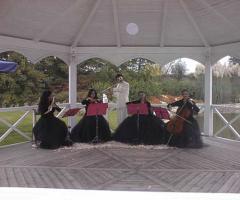 Quartetto al feminile