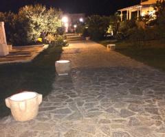 Casale del Murgese - Il viale di ingresso