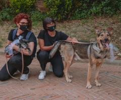 Canaglie da Matrimonio - Loro con Voi