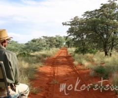 Mokoro Tours - Agenzia per viaggi di nozze in Africa