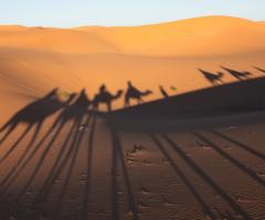 Viaggio di nozze in Marocco