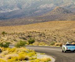 Maura Vedù CartOrange Vicenza - On the road, Canada