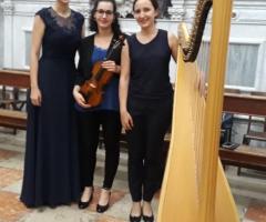 Violino soprano e arpa - Serena Zucco