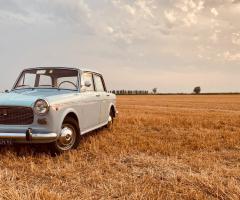 Fiat 1100 d'epoca - Noleggio auto per il matrimonio a Modena