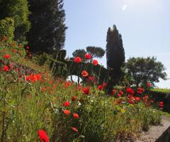 Arco d'ingresso con i papaveri