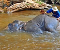 Nessie Viaggi - Viaggio Chiang Mai, Thailandia