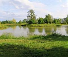 Villa Fiori di Loto - Location immersa nel verde