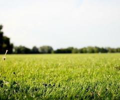 Hop-e - Inizio dei festeggiamenti