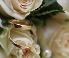 Rose e fedi - Double infinity