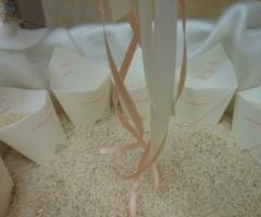 Coni di riso - Tra sogni e realtà