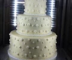 Gran Caffè Ventura - Torta con puntini